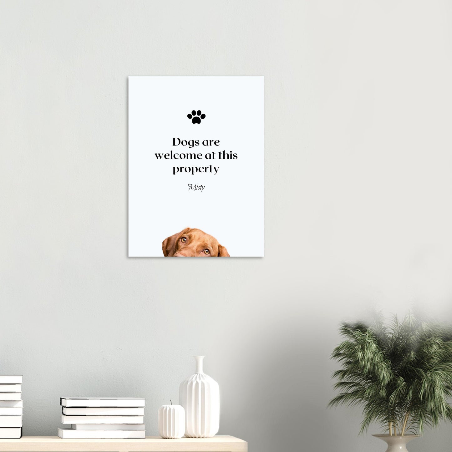 00aa9114-7234-4c2b-a4a3-cdd4bfb782d8