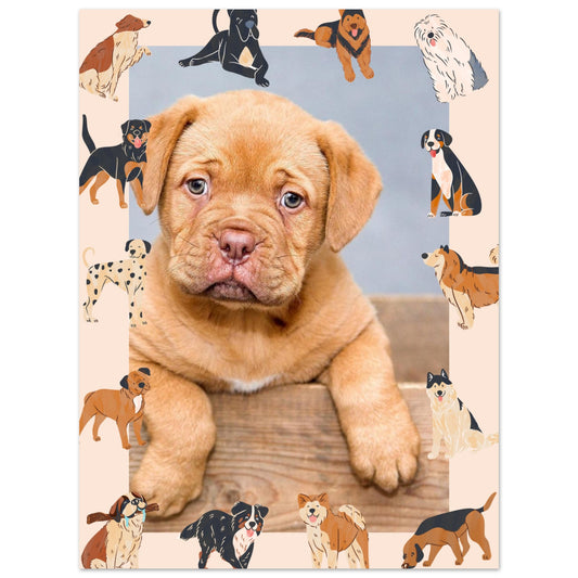 031c3695-7402-4707-a8b9-2d10067509cc