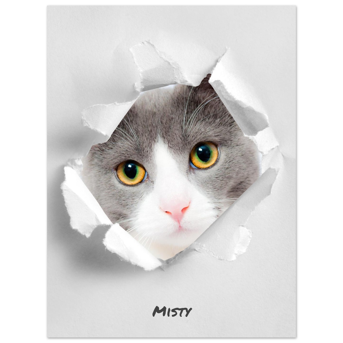 1c6c4fca-2feb-4d20-bd10-4aaac6556859