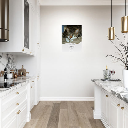 29b1d527-4d74-4f22-b587-c94fd0617834