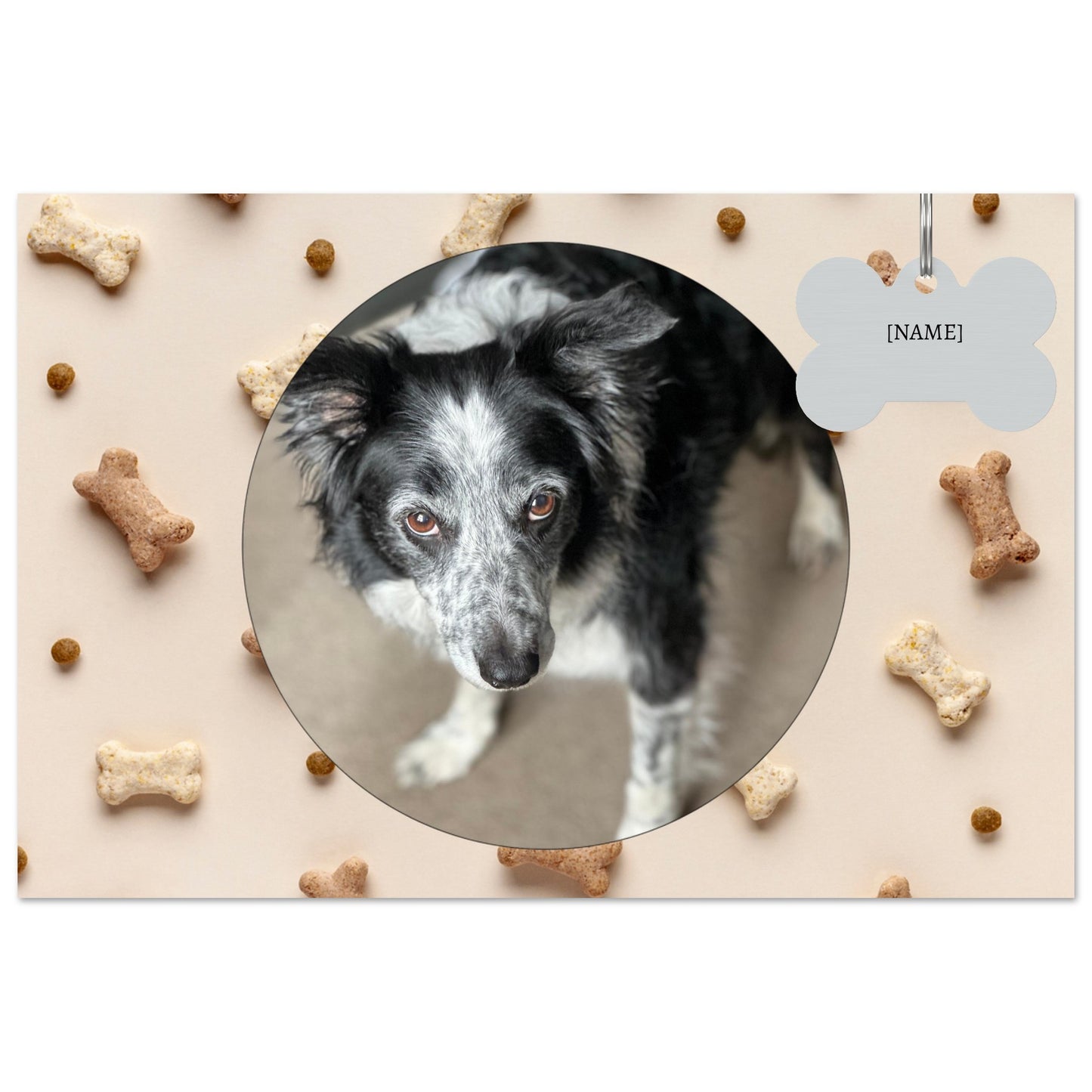 39d70a0d-bd60-42f9-9efc-502ecfd8380c