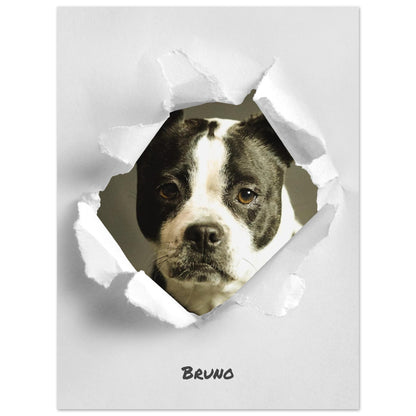 3a888e84-e2f6-4e55-b54f-59480c2894a6