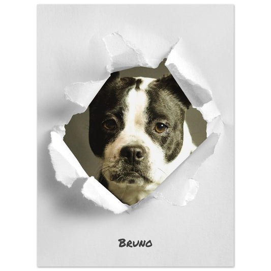 3a888e84-e2f6-4e55-b54f-59480c2894a6