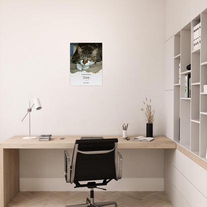 6b5e9d79-c7e7-4334-aa1c-3dc2472bd11e