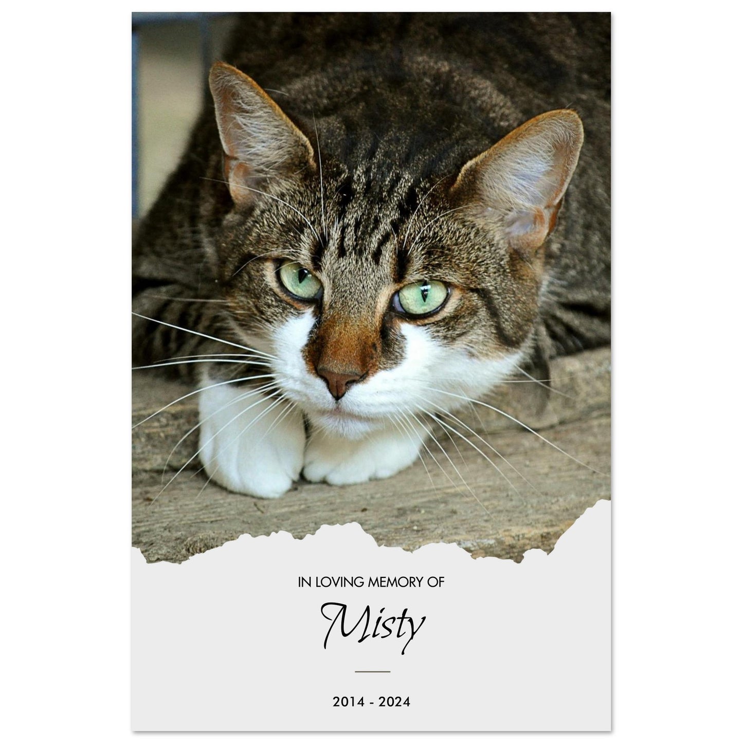 6fc8fbed-7133-4c39-9ec5-e7c0124621f4