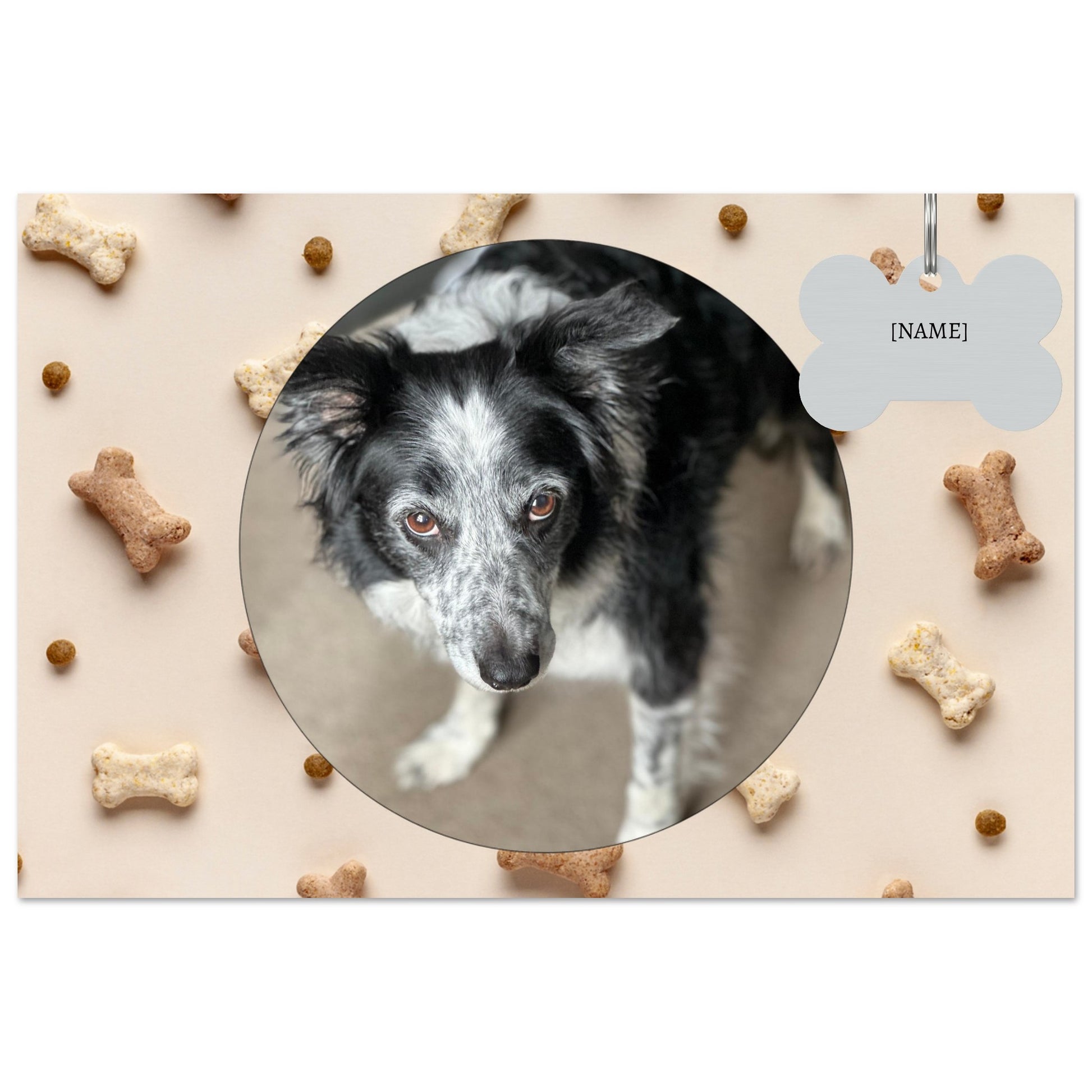 72553d3e-2efe-4388-a47c-8ba305793fd7