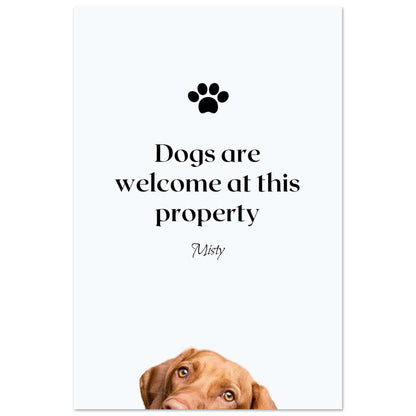 7414f5c3-636d-4a4f-9f77-e10491f91967