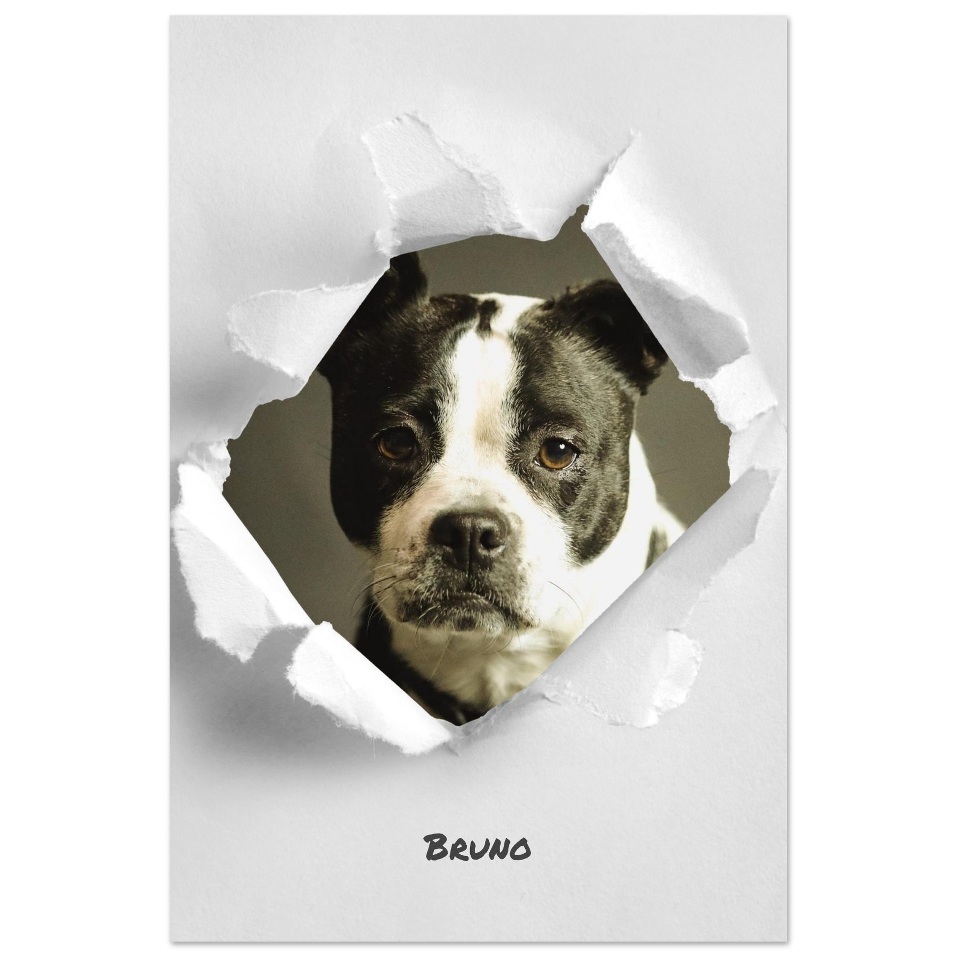 8835a9a1-e046-4f61-9ae3-ab51dc1b9eaa