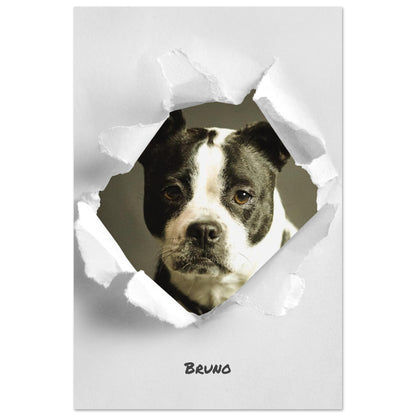 8835a9a1-e046-4f61-9ae3-ab51dc1b9eaa