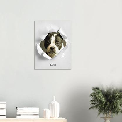 970edc82-1020-4e74-9279-ad7967618f95