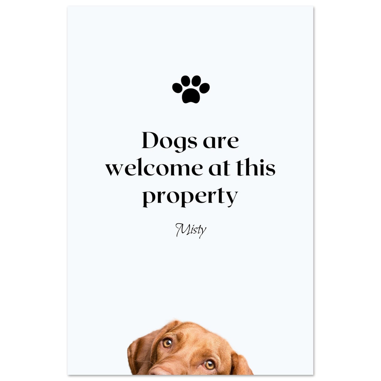 9eef2fc8-08f9-4420-ad0c-269c558b078a