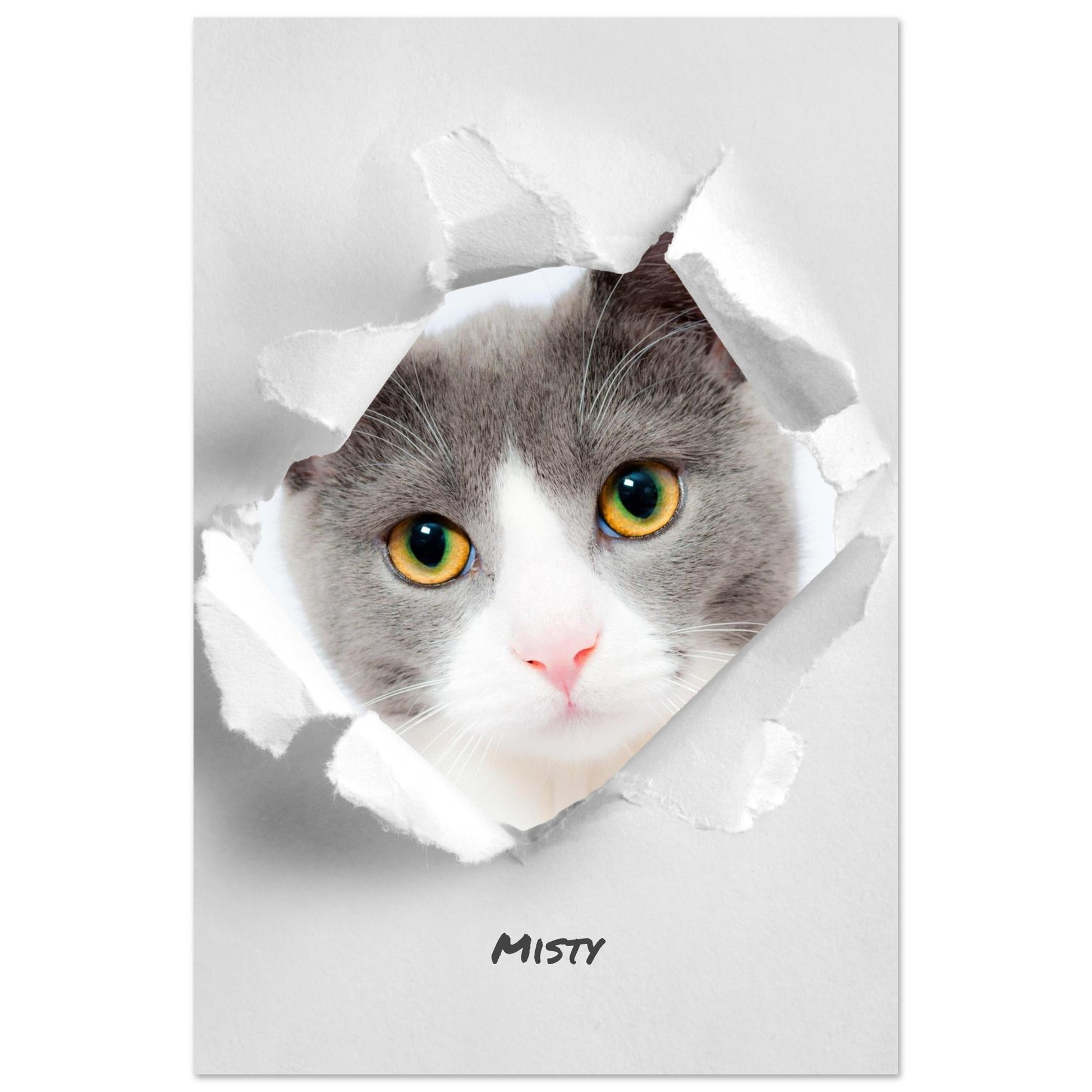 a7851af9-d94a-491a-b1e5-f347f26987a6