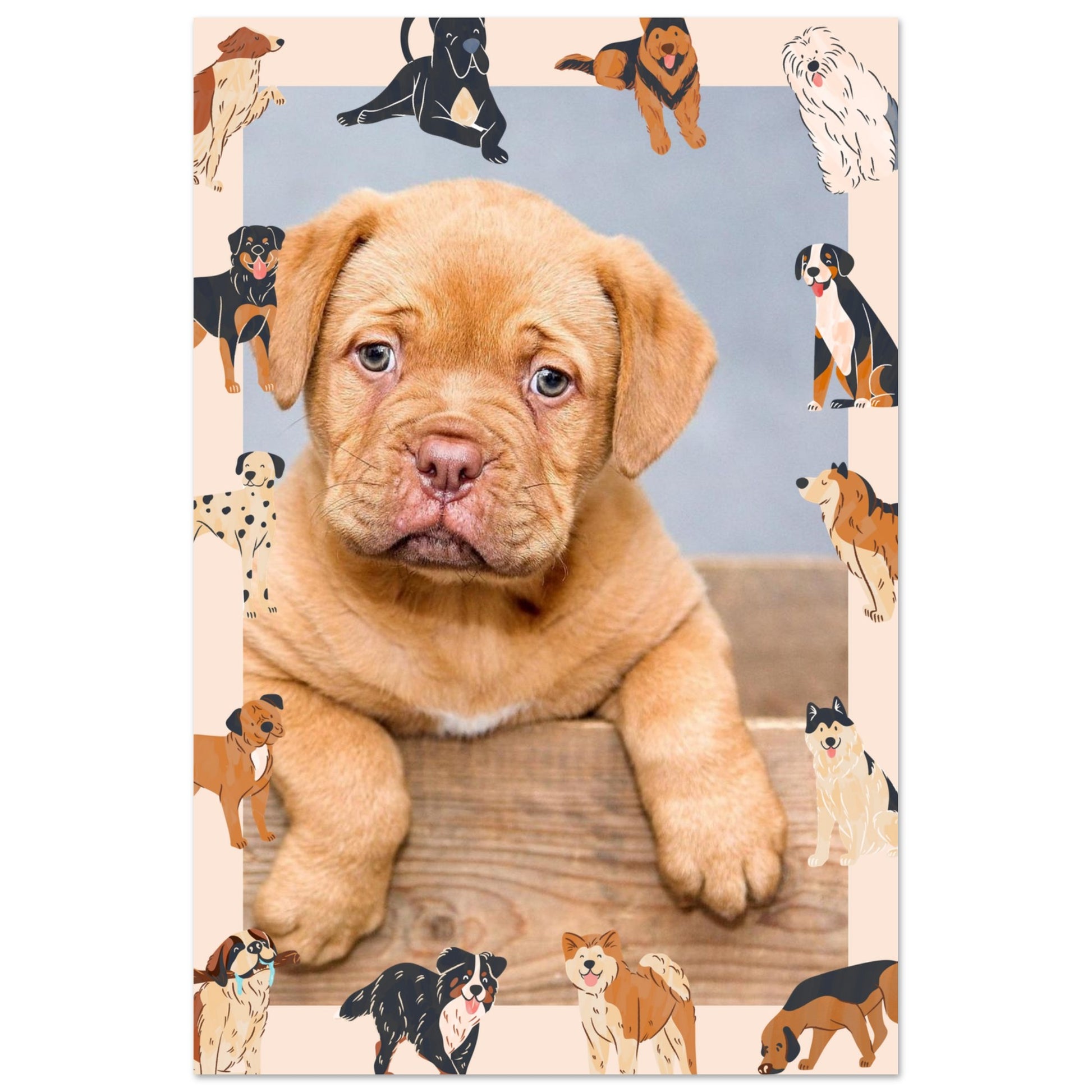 bcbe8896-7379-4fc8-acba-ec50c578017b