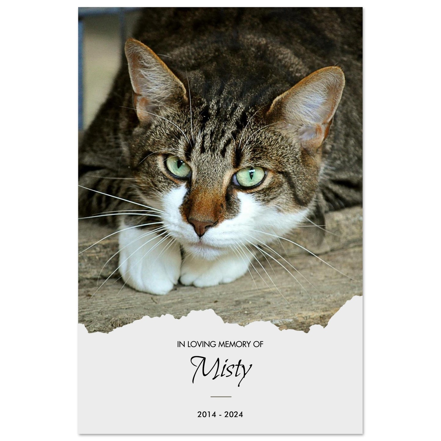 bf47a51d-eda6-4053-bc8d-87da0b7e1e35