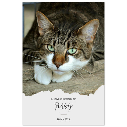 bf47a51d-eda6-4053-bc8d-87da0b7e1e35