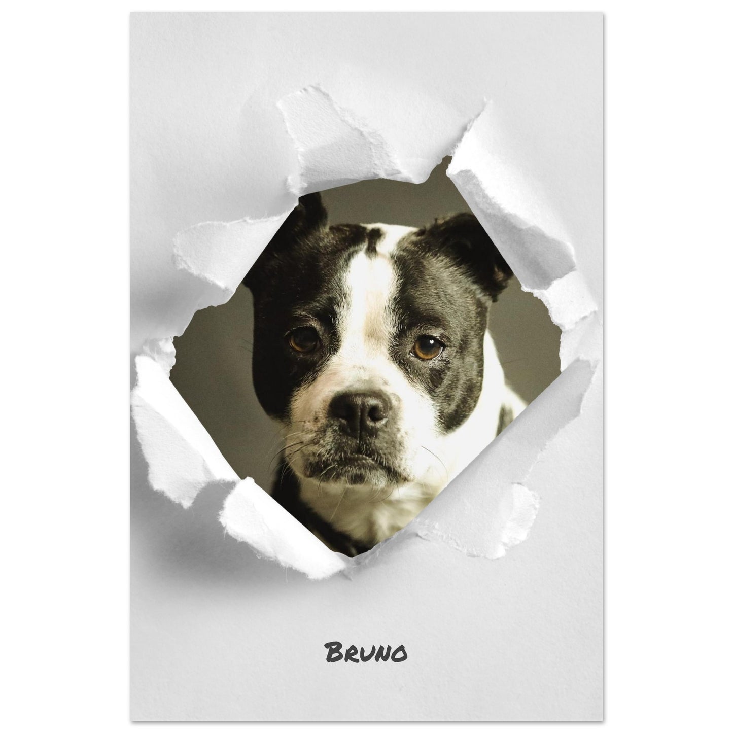 eefb1917-b75b-43b8-86c7-8e13ed9e8d0a