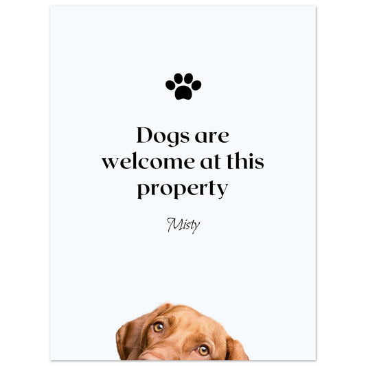 faacecce-4e03-4907-9fc5-89555efd6659