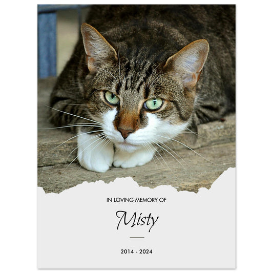 fd2d6637-8a42-4950-8690-90c748ca19c8